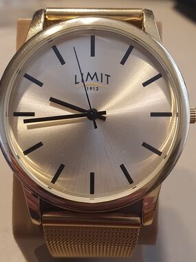 Limit 1912 Goldtone Stainless Steel Mesh Men's Watch